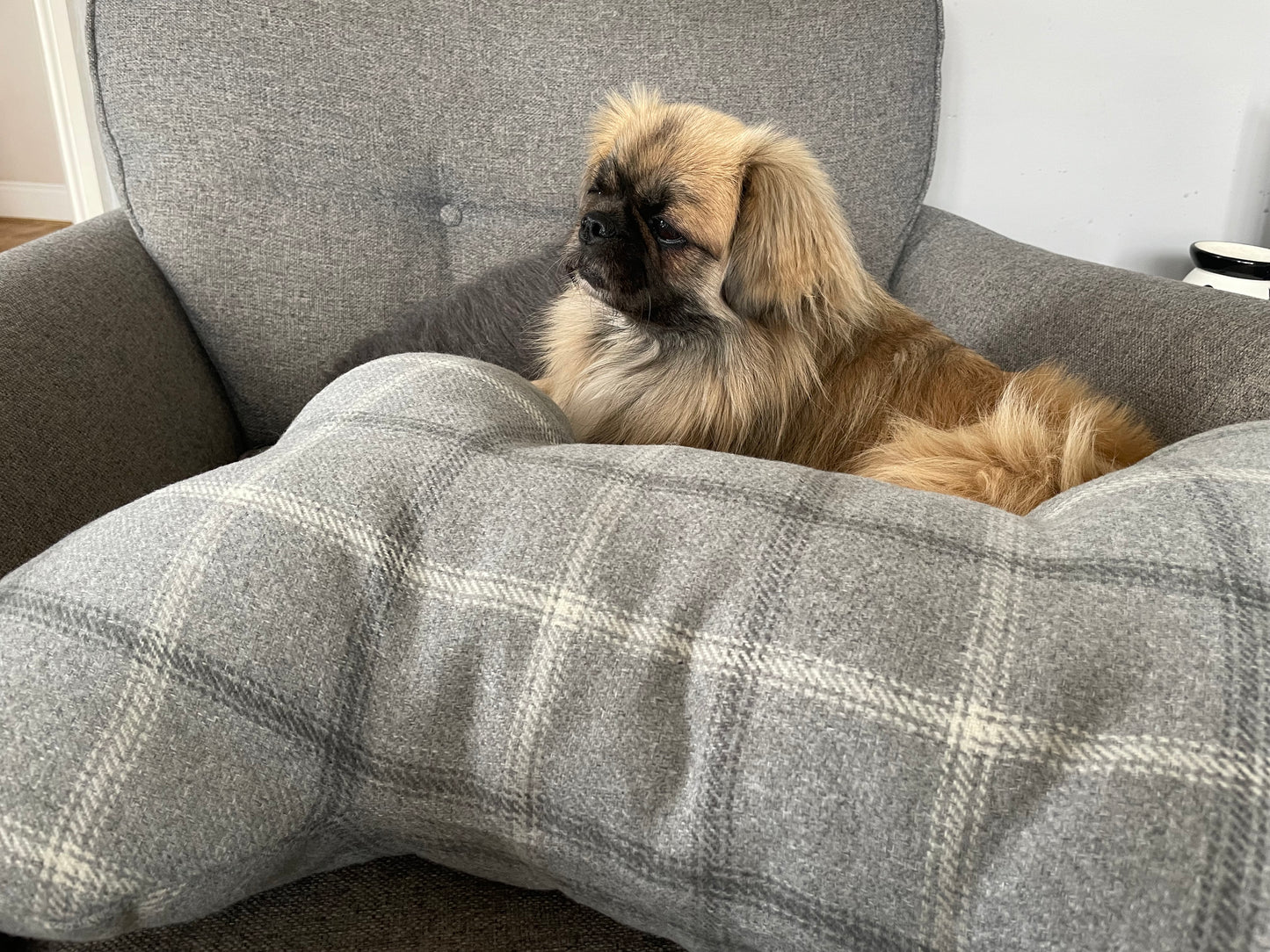 Large Bone, Dog Snuggle Cushion