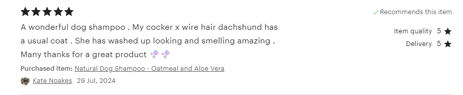 Natural Oatmeal and Aloe Vera Handmade Dog Shampoo