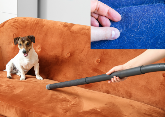 Pet Hair and how to remove it!