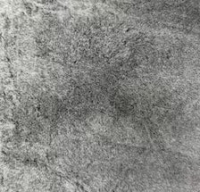 Luxury Black Frost Faux Fur Dog Blanket | Reversible with Soft Suede Backing