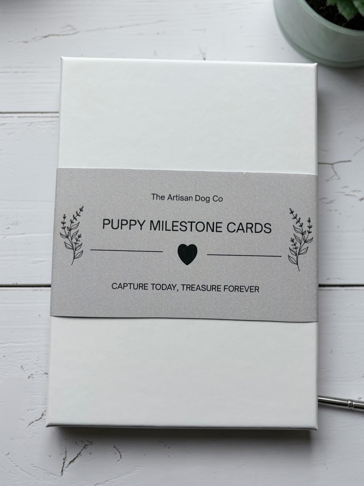 Puppy Milestone Cards | A Beautiful Record of Their First Year
